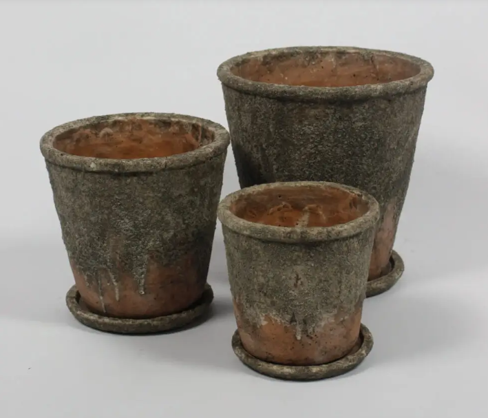 Florentina Pot